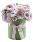 Luxury Powder Pink Ranunculus Box