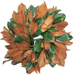 Magnolia Leaves Door Wreath