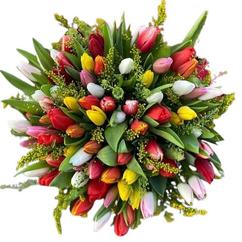 Multicolored Tulips with Solidago Bouquet