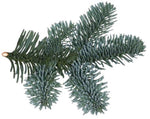 Noblis Blue Spruce Branches: Elegant Holiday Foliage for Festive Decor