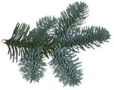 Noblis Blue Spruce Branches: Elegant Holiday Foliage for Festive Decor