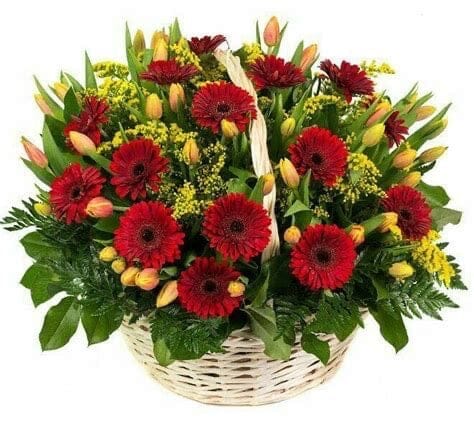 Orange Tulips with Gerberas in the Basket