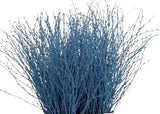 Paint Berk Branches ( Betula): Vibrant and Unique for Home Decor