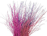 Paint Berk Branches ( Betula): Vibrant and Unique for Home Decor