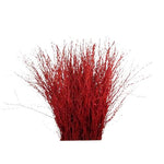 Paint Berk Branches ( Betula): Vibrant and Unique for Home Decor