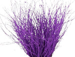 Paint Berk Branches ( Betula): Vibrant and Unique for Home Decor