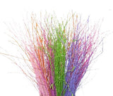 Paint Berk Branches ( Betula): Vibrant and Unique for Home Decor