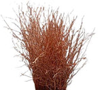 Paint Berk Branches ( Betula): Vibrant and Unique for Home Decor