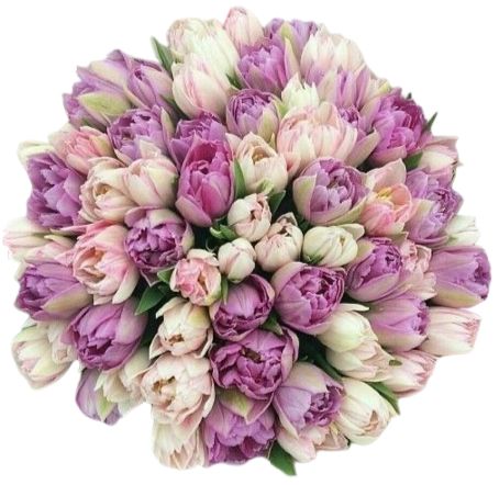 Pastel Delights Double Tulips Bouquet