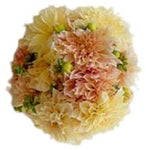 Peach and Yellow Dahlia Bouquet