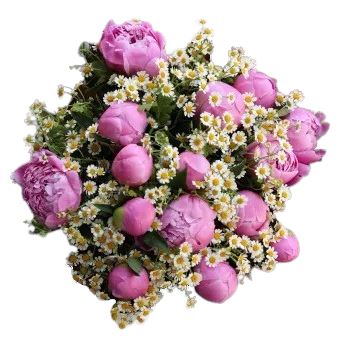 Peonies and Daisy Tanacetum Bouquet