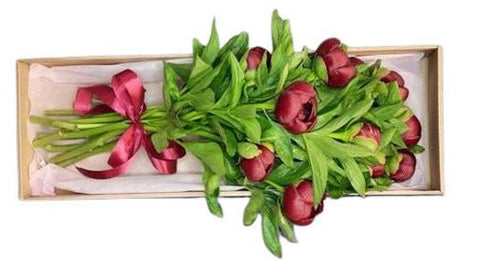 Peonies in Luxury Gift Box