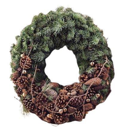 Pinecone Rustic Door Wreath