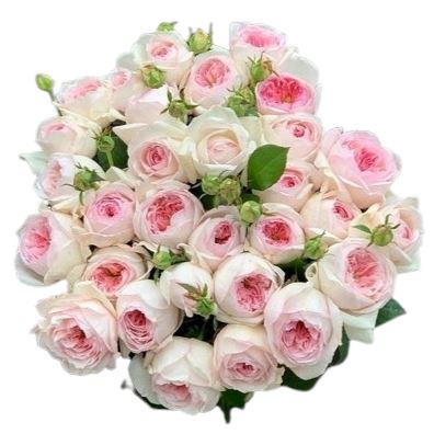 Pink Garden Spray Rose Bouquet