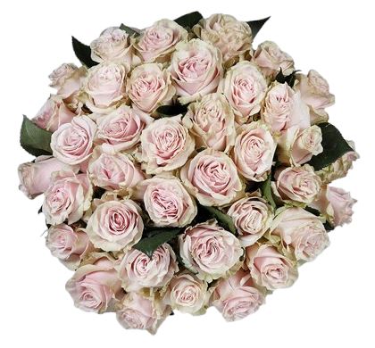 Pink Mondial Roses Bouquet