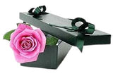 Pink Single Rose Luxury Box