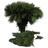 Pinus Strobus Short (H35cm) Branches: Elegant Eastern White Pine for Seasonal Decor