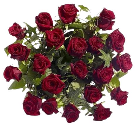 Premium Red Roses with English Ivy Bouquet