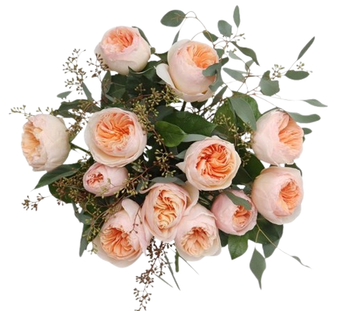 Peach Garden Roses with Populus Berries Bouquet