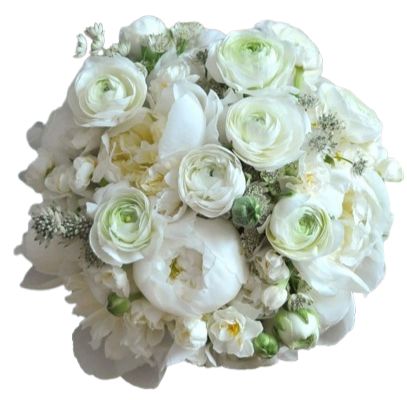 Pure White Peonies and Ranunculus Luxury Bouquet