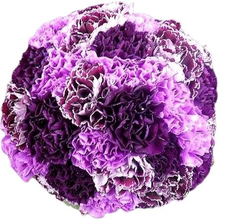 Purple and Lavender Carnations Bouquet