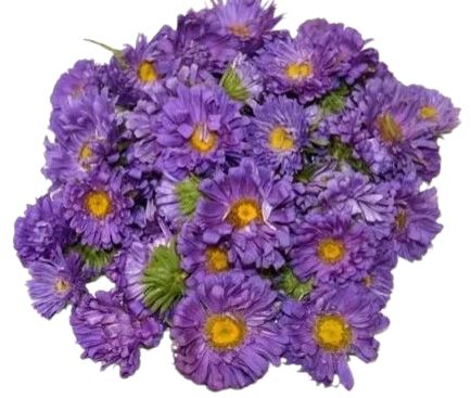 Purple Aster Bouquet