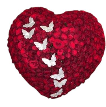 Rafined Red Roses Heart with Butterflies