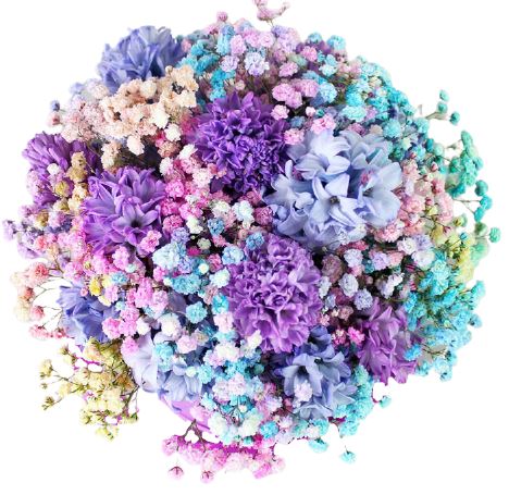 Rainbow Gypsophila and Hyacinth Bouquet