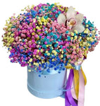 Rainbow Gypsophila Box with Cmbidium Orchids Accent