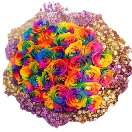 Rainbow Roses with Gypsophila Bouquet