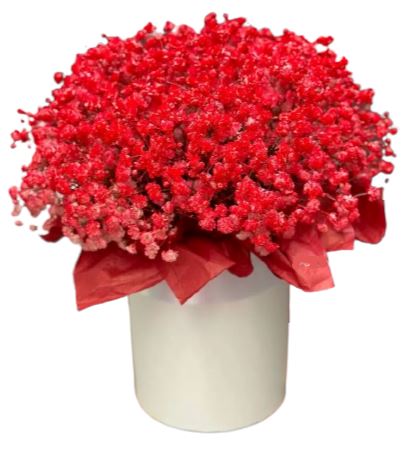 Red Gypsophila Box