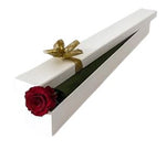 Red Single Rose Luxury Box