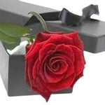 Red Single Rose Luxury Box