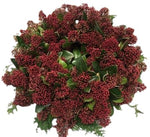 Red Skimmia Holiday Wreath