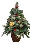 Rustic Blue Spruce Holiday Tree: Decorated with Dried Fruit and Berry