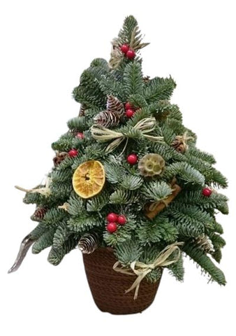 Rustic Blue Spruce Holiday Tree: Decorated with Dried Fruit and Berry