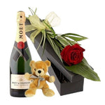 Single Rose in Luxury Box with Champagne and Teddy