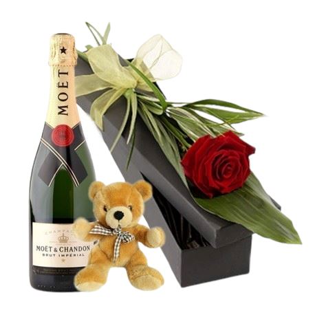 Single Rose in Luxury Box with Champagne and Teddy