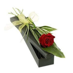 Single Rose with Greenery Luxury Box