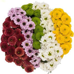 Spectrum Santini Chrysanthemum Bouquet