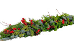 Spruce and Conifer with Ilex Berry Xmas Garland