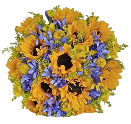 Sunflowers with Agapanthus Bouquet