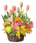 Sunny Spring Flower in Basket