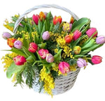 Trio Tulips with Mimosa Basket