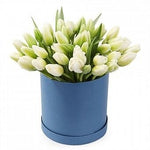 Tulips in a Box