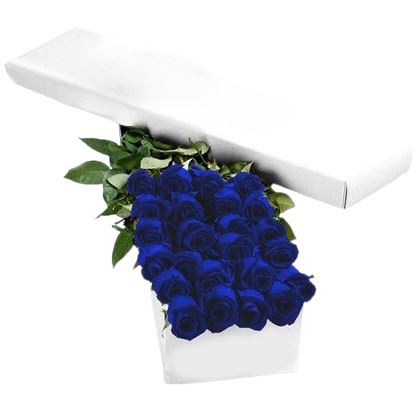 Two Dozen Blue Roses Luxury Box