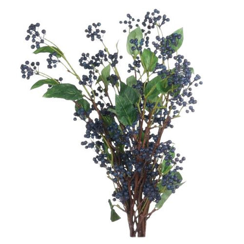 Viburnum Black Berries