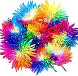 Vip Rainbow Chrysanthemum Bouquet