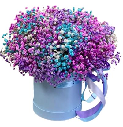 Vivid Baby's Breath Box