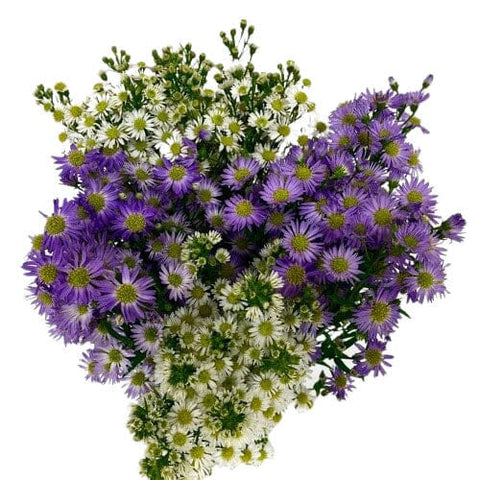 White and Purple Aster Flowers Bouquet